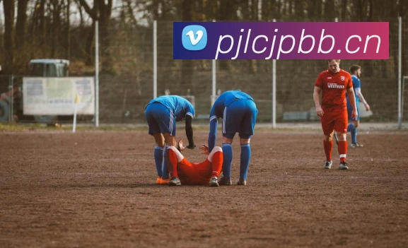 开云APP 体育赛事宣传图